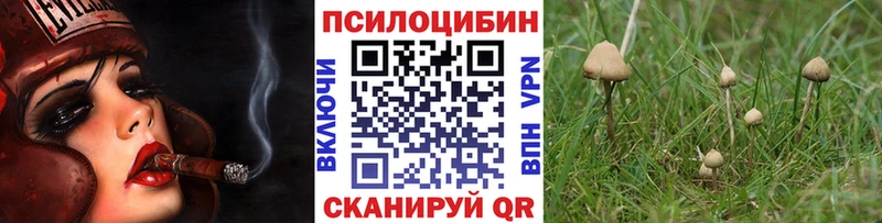 Псилоцибиновые грибы Magic Shrooms  shop Telegram  кракен сайт  Сосновоборск  сколько стоит 